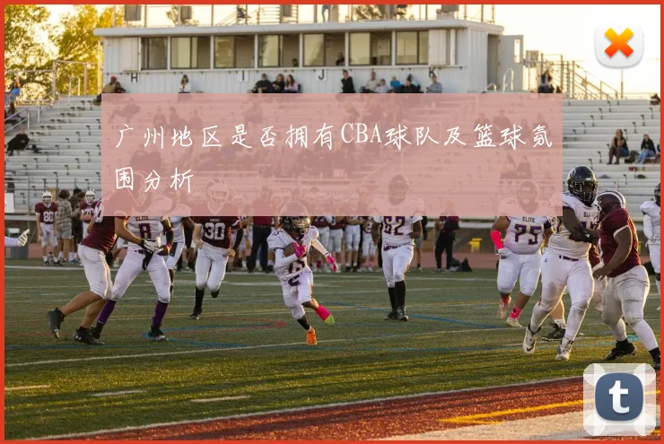 广州地区是否拥有CBA球队及篮球氛围分析