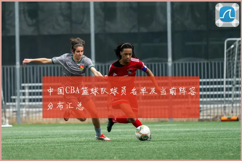 中国CBA篮球队球员名单及当前阵容分布汇总