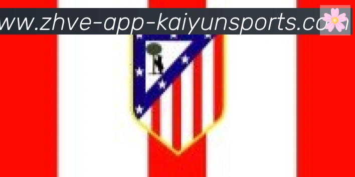 开云体育app合作伙伴
